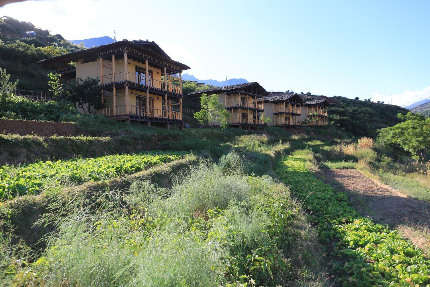 Wangdue Ecolodge Wangdue Phodrang Екстериор снимка
