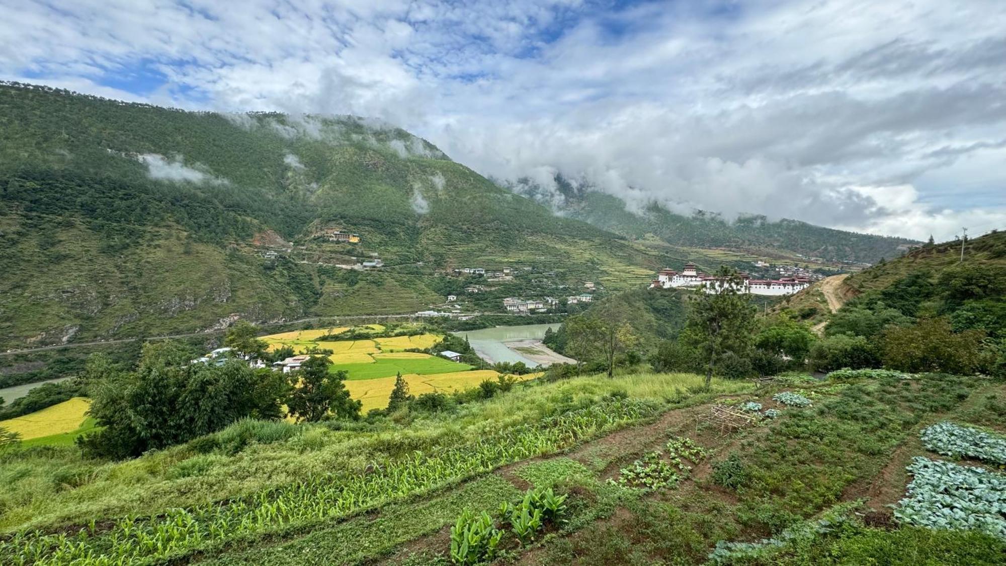 Wangdue Ecolodge Wangdue Phodrang Екстериор снимка