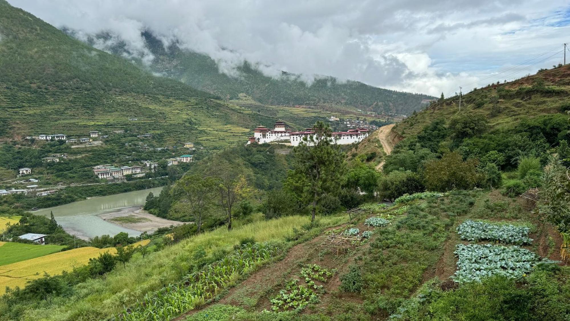 Wangdue Ecolodge Wangdue Phodrang Екстериор снимка